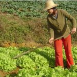 O Governo de SP lançou na última sexta-feira (8), Dia Internacional da Mulher, uma linha de crédito de R$ 10 milhões para as produtoras rurais do Estado, o “FEAP Mulher Agro SP”.