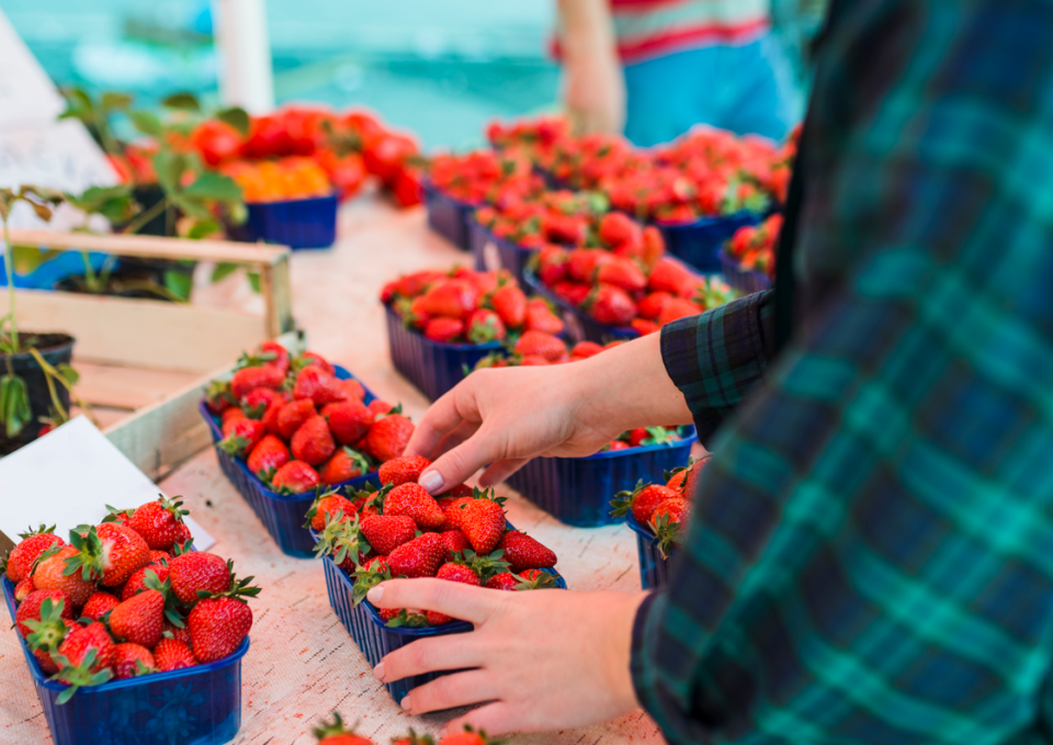 O Estado de São Paulo é líder disparado no cultivo de frutas no país. De acordo com os dados levantados pelo Instituto de Economia Agrícola (IEA – APTA), órgão ligado à Secretaria de Agricultura e Abastecimento de São Paulo