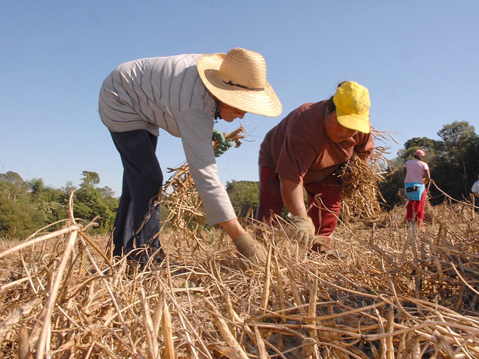 A linha de crédito especial para mulheres agricultoras, o FEAP Mulher Agro SP, já está disponível, informou a Secretaria de Agricultura e Abastecimento de São Paulo durante a Agrishow, que acontece até sexta-feira (03/04), em Ribeirão Preto.