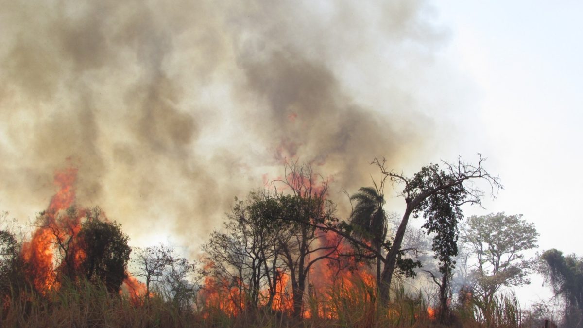 O registro de altas temperaturas e sem previsão de chuvas, essa é a previsão do tempo para o Estado de São Paulo nos próximos dias, o que aumenta os riscos de incêndios nas áreas rurais. Segundo o alerta do Centro de Gerenciamento de Emergência da Defesa Civil Estadual (CGE), as regiões mais afetadas e com risco de incênidos são as regiões de Presidente Prudente, Assis, Dracena, Araçatuba, Jales, São José do Rio Preto, Barretos e Ribeirão Preto.