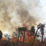 O registro de altas temperaturas e sem previsão de chuvas, essa é a previsão do tempo para o Estado de São Paulo nos próximos dias, o que aumenta os riscos de incêndios nas áreas rurais. Segundo o alerta do Centro de Gerenciamento de Emergência da Defesa Civil Estadual (CGE), as regiões mais afetadas e com risco de incênidos são as regiões de Presidente Prudente, Assis, Dracena, Araçatuba, Jales, São José do Rio Preto, Barretos e Ribeirão Preto.