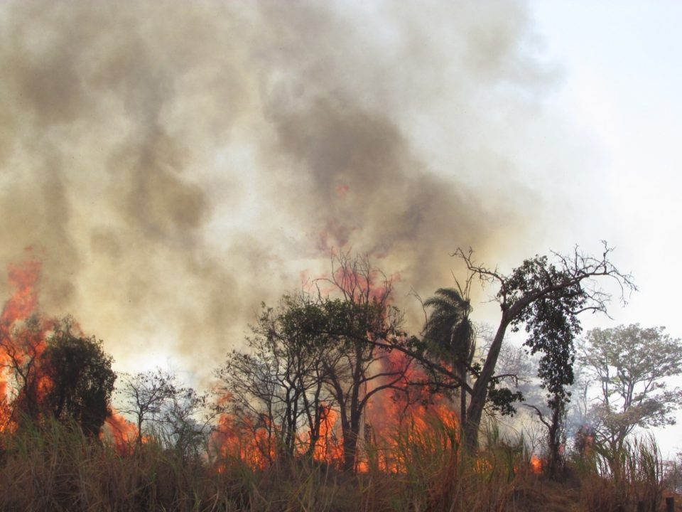 O registro de altas temperaturas e sem previsão de chuvas, essa é a previsão do tempo para o Estado de São Paulo nos próximos dias, o que aumenta os riscos de incêndios nas áreas rurais. Segundo o alerta do Centro de Gerenciamento de Emergência da Defesa Civil Estadual (CGE), as regiões mais afetadas e com risco de incênidos são as regiões de Presidente Prudente, Assis, Dracena, Araçatuba, Jales, São José do Rio Preto, Barretos e Ribeirão Preto.