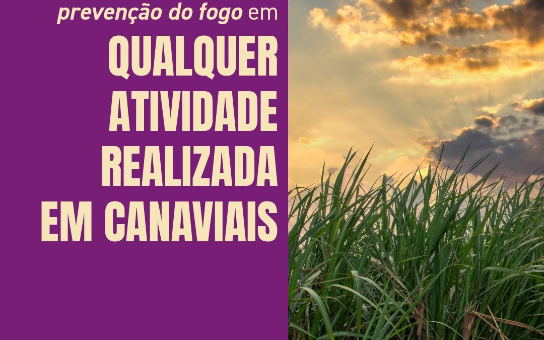 A Usina Raízen de Colômbia divulgou números de telefones para os produtores rurais de Colômbia e região acionarem em caso de incêndios em áreas de canaviais.