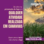 A Usina Raízen de Colômbia divulgou números de telefones para os produtores rurais de Colômbia e região acionarem em caso de incêndios em áreas de canaviais.