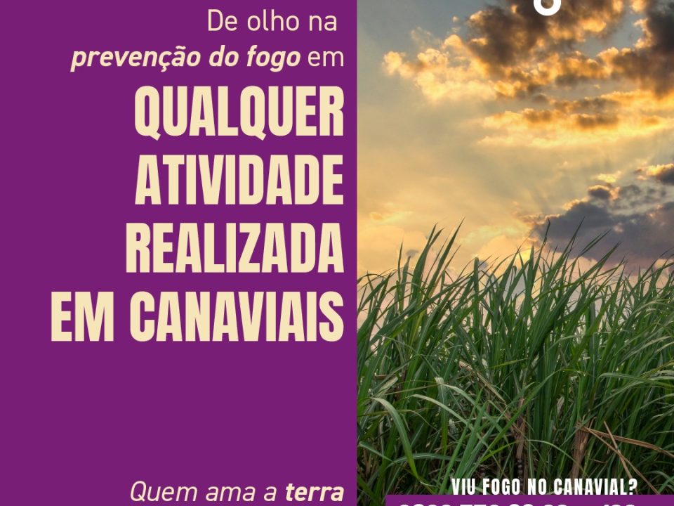 A Usina Raízen de Colômbia divulgou números de telefones para os produtores rurais de Colômbia e região acionarem em caso de incêndios em áreas de canaviais.