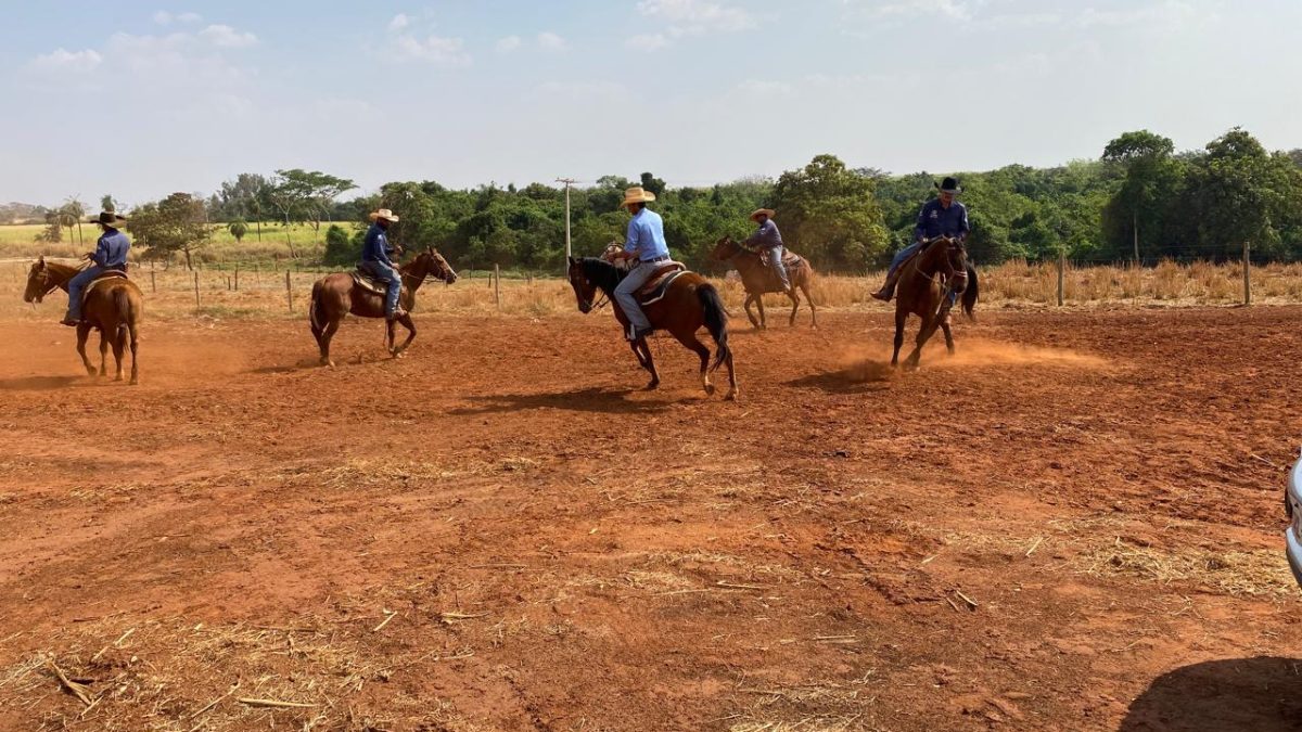 O Sindicato Rural do Vale do Rio Grande promoveu entre os dias 17 a 21, o curso sobre os primeiros passos nas atividades equestres, ministrado pelo professor Luís Celso Cuba.