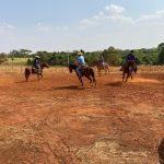 O Sindicato Rural do Vale do Rio Grande promoveu entre os dias 17 a 21, o curso sobre os primeiros passos nas atividades equestres, ministrado pelo professor Luís Celso Cuba.