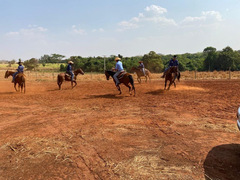 O Sindicato Rural do Vale do Rio Grande promoveu entre os dias 17 a 21, o curso sobre os primeiros passos nas atividades equestres, ministrado pelo professor Luís Celso Cuba.