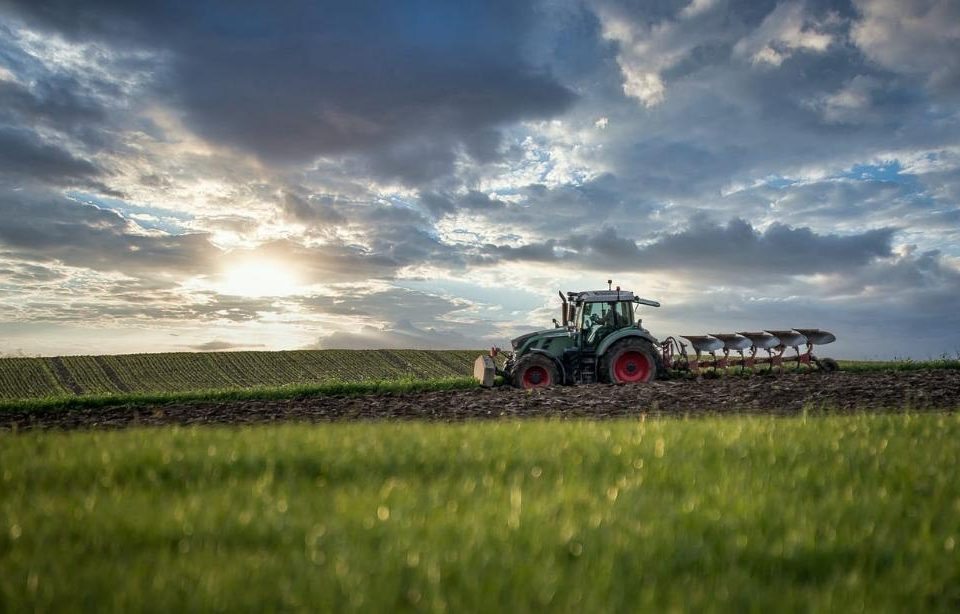 Um estudo inédito revelou que a recomposição de vegetação nativa ao redor de cultivos agrícolas pode gerar um aumento de R$ 4,2 bilhões anuais à produção agrícola do estado de São Paulo em algumas culturas de cultivo.