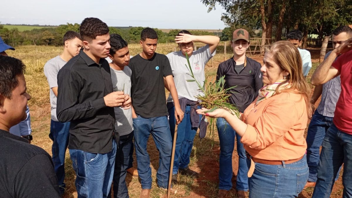 O Sindicato Rural do Vale do Rio Grande divulgou a realização de 11 cursos neste mês de julho através da parceria com o Senar (Serviço Nacional de Aprendizagem Rural) e a FAESP (Federação da Agricultura do Estado de São Paulo).