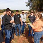 O Sindicato Rural do Vale do Rio Grande divulgou a realização de 11 cursos neste mês de julho através da parceria com o Senar (Serviço Nacional de Aprendizagem Rural) e a FAESP (Federação da Agricultura do Estado de São Paulo).