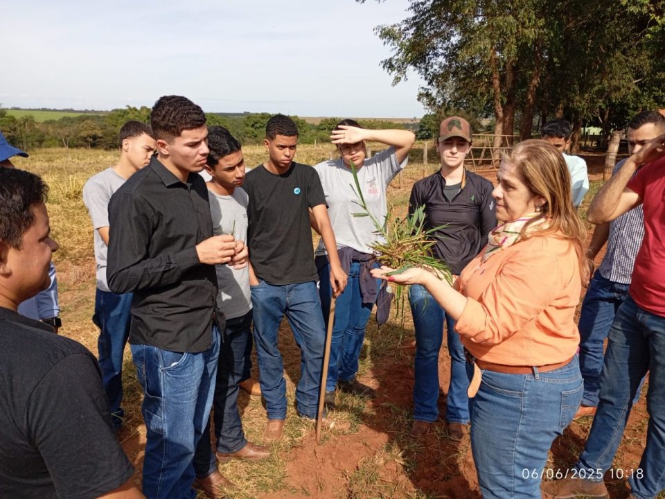 O Sindicato Rural do Vale do Rio Grande divulgou a realização de 11 cursos neste mês de julho através da parceria com o Senar (Serviço Nacional de Aprendizagem Rural) e a FAESP (Federação da Agricultura do Estado de São Paulo).