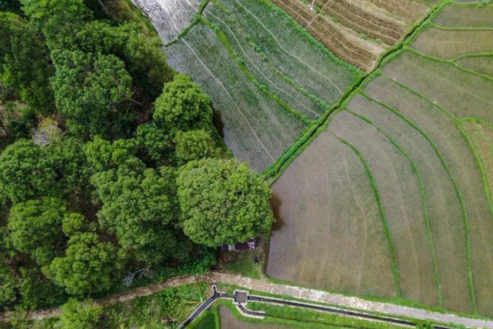 O Governo de São Paulo tem se destacado como referência nacional na gestão do Cadastro Ambiental Rural (CAR), alcançando resultados inéditos em todo o país. Graças ao investimento em inovação tecnológica e à adoção de modelos modernos de análise