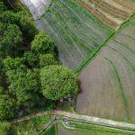 O Governo de São Paulo tem se destacado como referência nacional na gestão do Cadastro Ambiental Rural (CAR), alcançando resultados inéditos em todo o país. Graças ao investimento em inovação tecnológica e à adoção de modelos modernos de análise