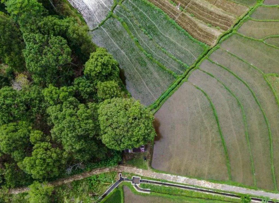 O Governo de São Paulo tem se destacado como referência nacional na gestão do Cadastro Ambiental Rural (CAR), alcançando resultados inéditos em todo o país. Graças ao investimento em inovação tecnológica e à adoção de modelos modernos de análise
