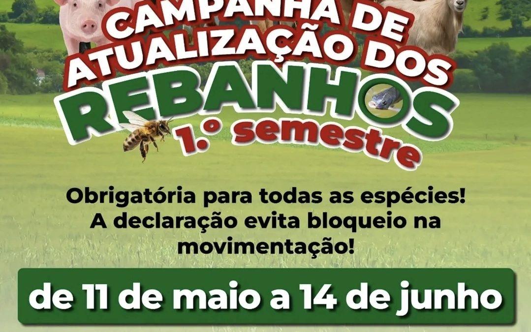 A campanha de atualização dos rebanhos do 1º semestre teve início neste dia 11 de maio e se estende até o dia 14 de junho
