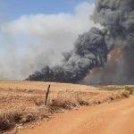 A Federação da Agricultura e Pecuária do Estado de São Paulo (Faesp), em parceria com o Senar e os Sindicatos Rurais, intensificou as ações de prevenção aos incêndios no campo e encaminhou ofícios aos prefeitos municipais paulistas alertando para o início da Fase Vermelha da Operação São Paulo Sem Fogo, que começa nesta segunda-feira, 1º de junho.
