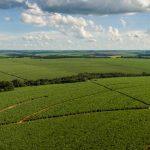 A Tereos, uma das líderes globais nos mercados de açúcar, etanol, energia e amidos, está avançando na estruturação de um novo modelo de manejo agrícola baseado no mapeamento detalhado dos solos de suas áreas próprias.