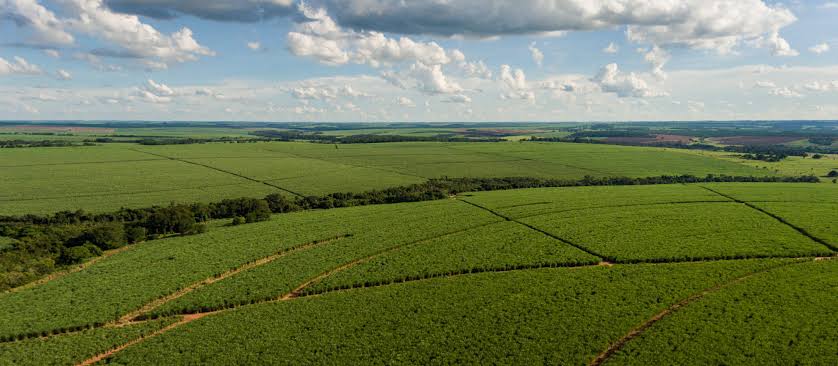 A Tereos, uma das líderes globais nos mercados de açúcar, etanol, energia e amidos, está avançando na estruturação de um novo modelo de manejo agrícola baseado no mapeamento detalhado dos solos de suas áreas próprias.