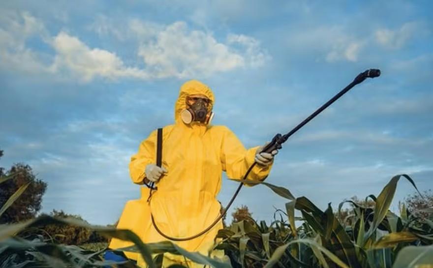 As entidades de produtores rurais e das indústrias de defensivos afirmaram que a minuta de portaria que estabelece a lista de Agrotóxicos Altamente Perigosos (AAPs) contraria o modelo de análise de risco previsto na nova lei de agrotóxicos.