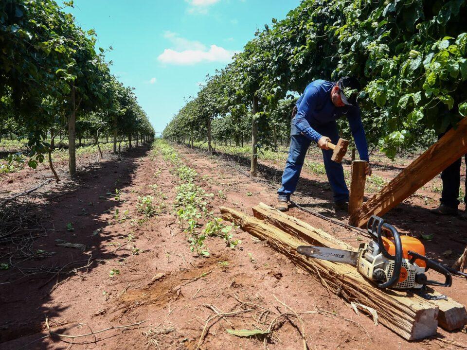 O Governo de SP anunciou, nesta quarta-feira (9), que vai subsidiar parte dos juros de financiamentos de até R$ 5 milhões por operação para recuperar propriedades rurais atingidas pelas chuvas de 24 de julho na região de Ribeirão Preto.