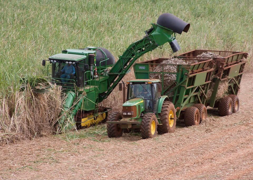 O Governo de SP, por meio da Secretaria de Agricultura e Abastecimento, elaborou um diagnóstico técnico sobre a crise de renda nas cadeias produtivas de cana-de-açúcar, laranja e amendoim.